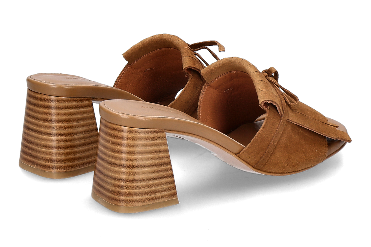 Angel alarcon camel_281300116_2