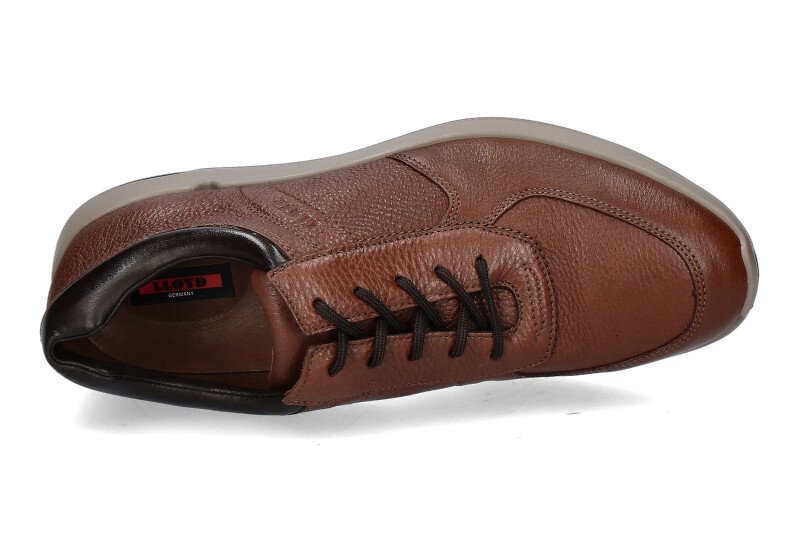 Lloyd Sneaker ARGOS ABSOLUTE CALF HAVANNA T.D.MORO  (42)