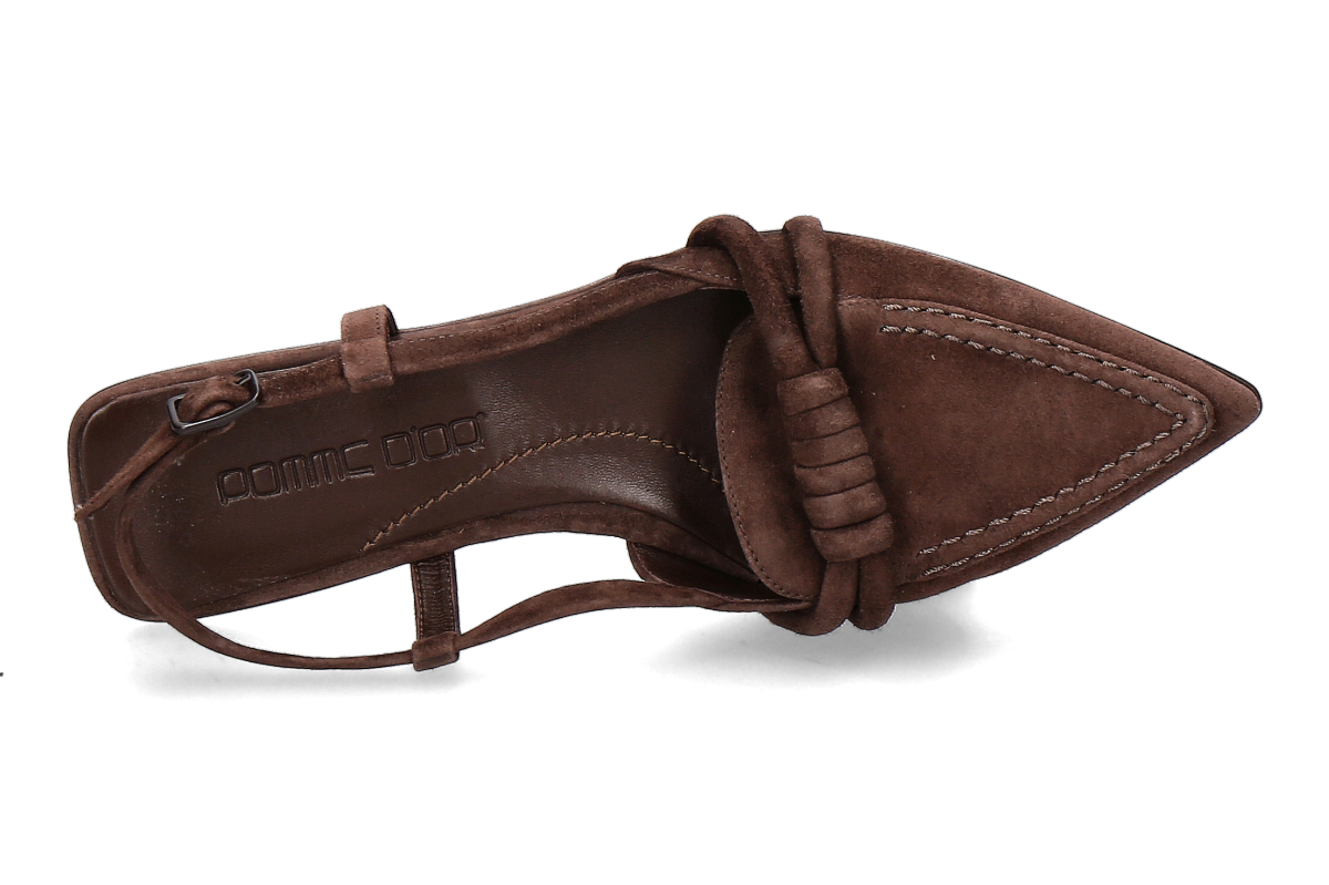 Pomme D or camEspr_294300007_5