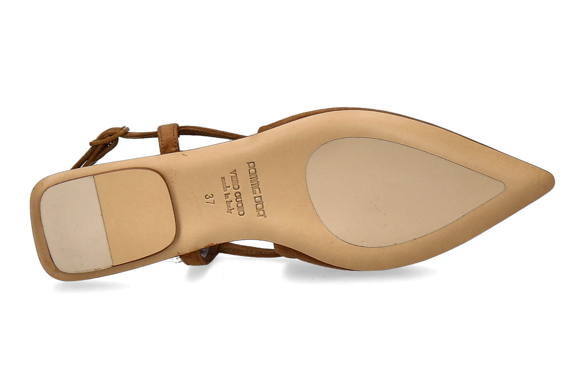 Pomme D or CamBisc_294400016_4