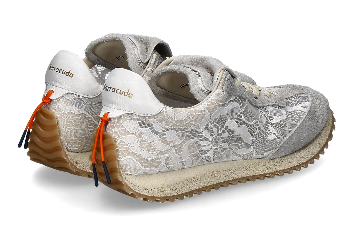 Barracuda ottico_232900552_2