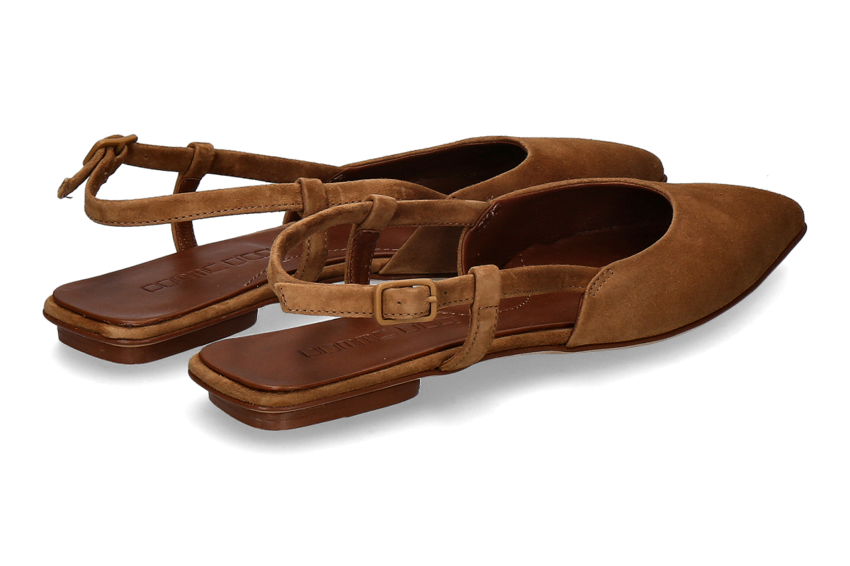 Pomme D or CamBisc_294400016_2