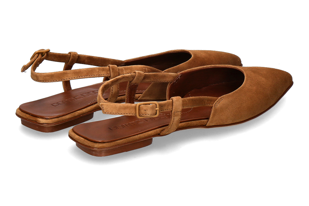 Pomme D or CamBisc_294400016_2