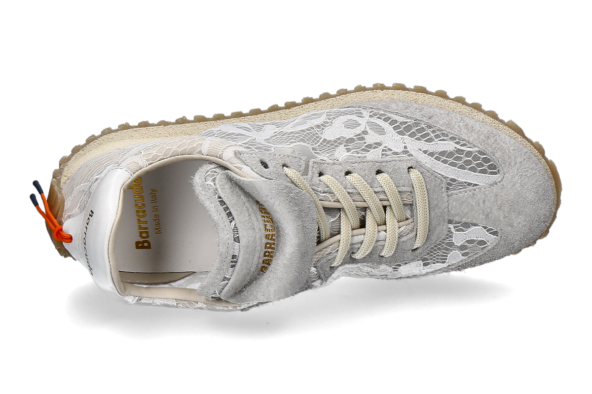 Barracuda ottico_232900552_5