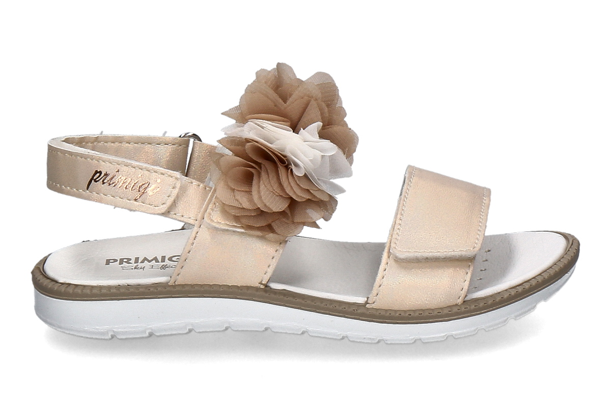 PRIMIGI-chiffon-multicolour_482900027_8