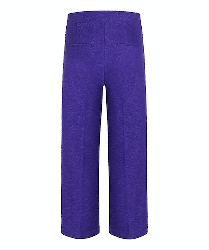 FRONTPOCKET Cambio Hose purple -dark TWEED CAMERON FRENCH