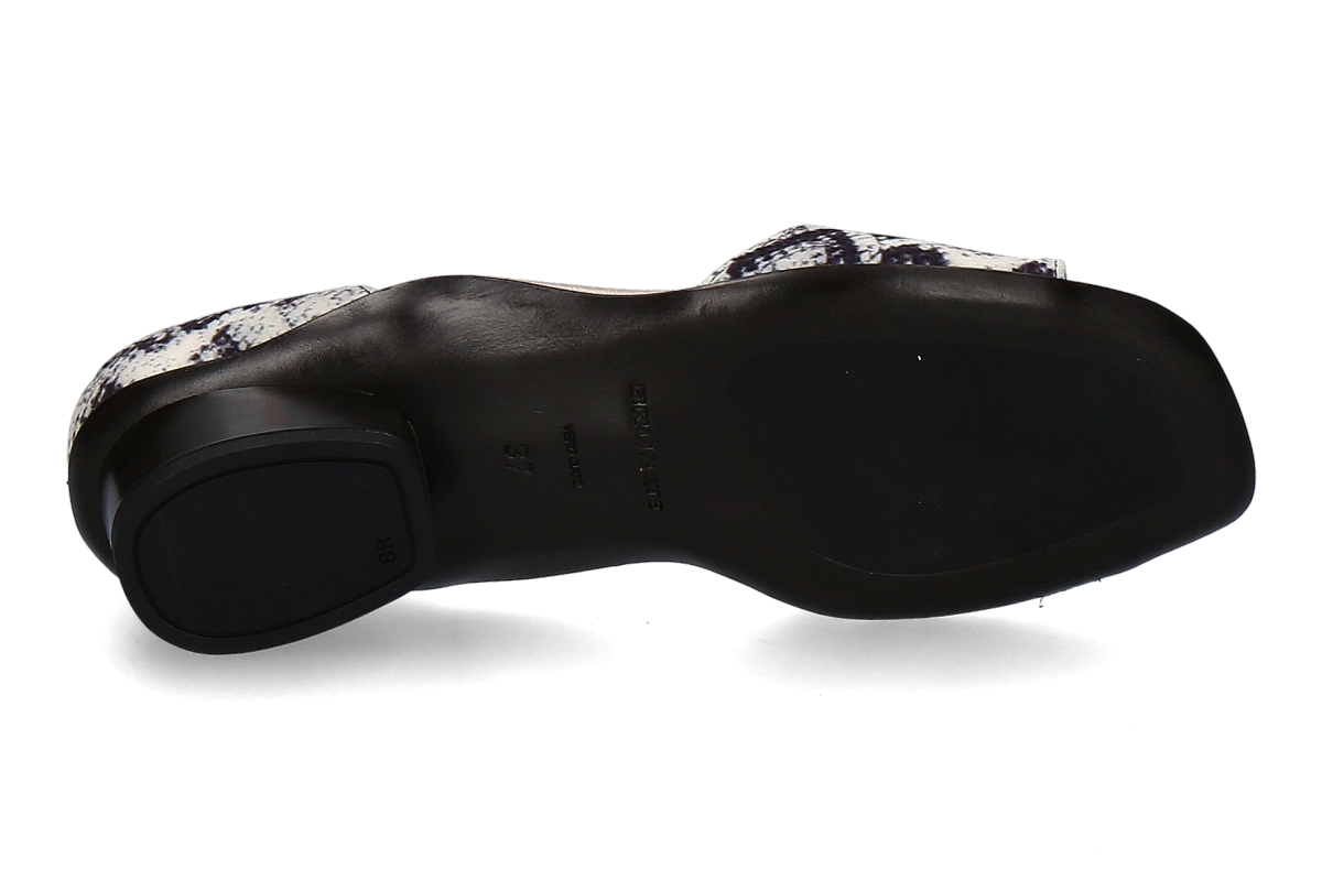 BURANTE snake roccia_242900412_4