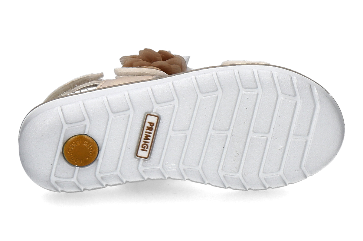 PRIMIGI-chiffon-multicolour_482900027_9