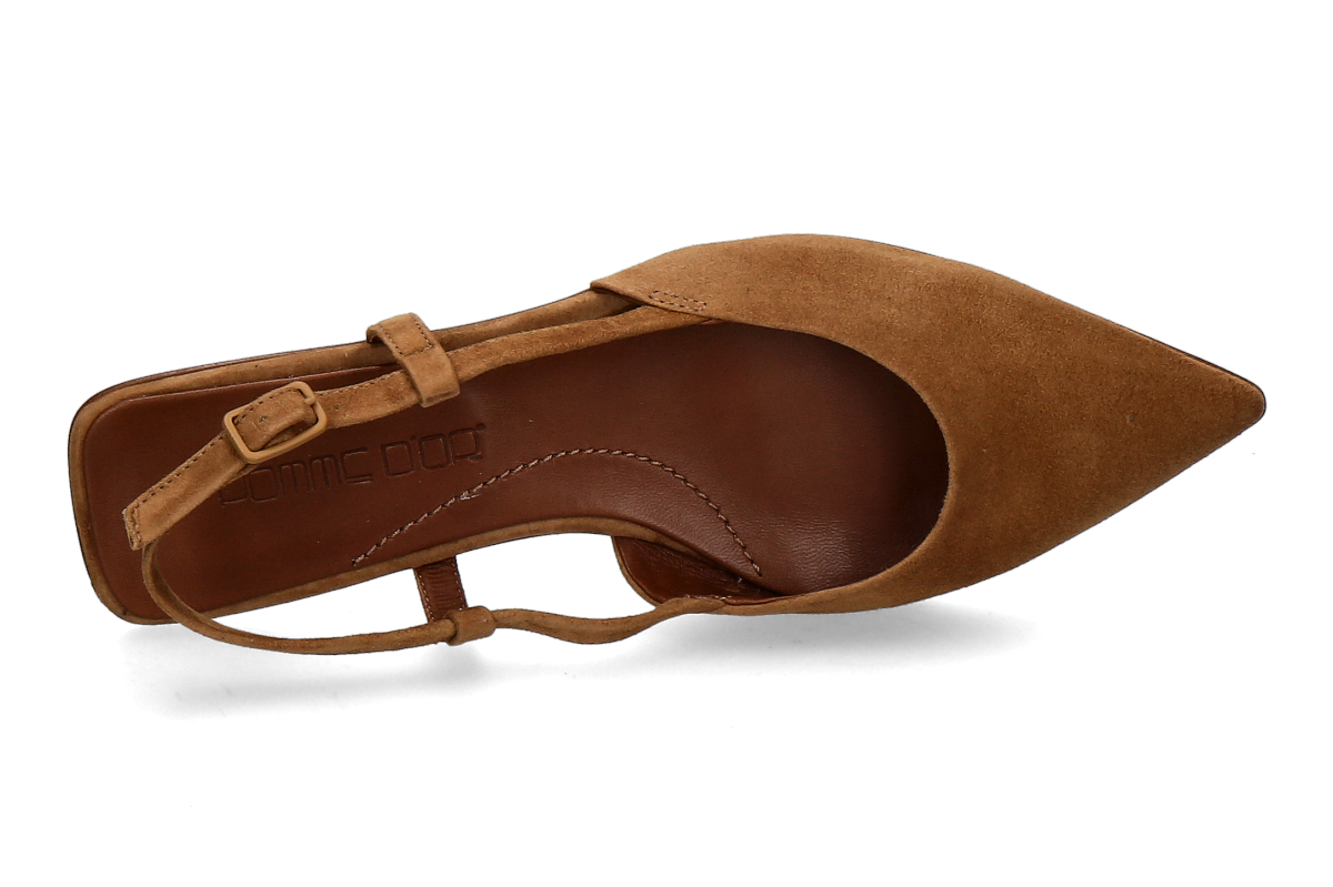 Pomme D or CamBisc_294400016_5