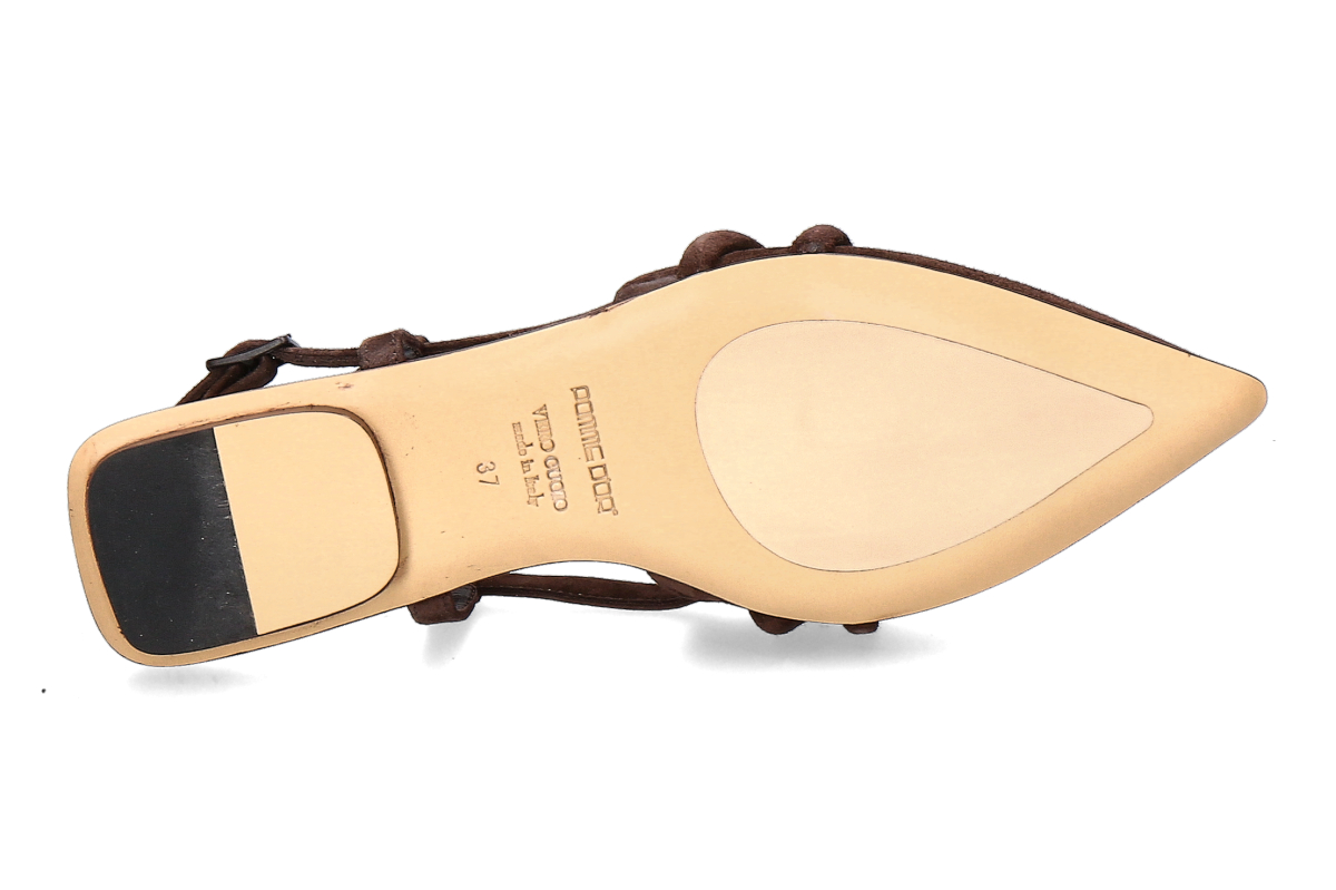 Pomme D or camEspr_294300007_4