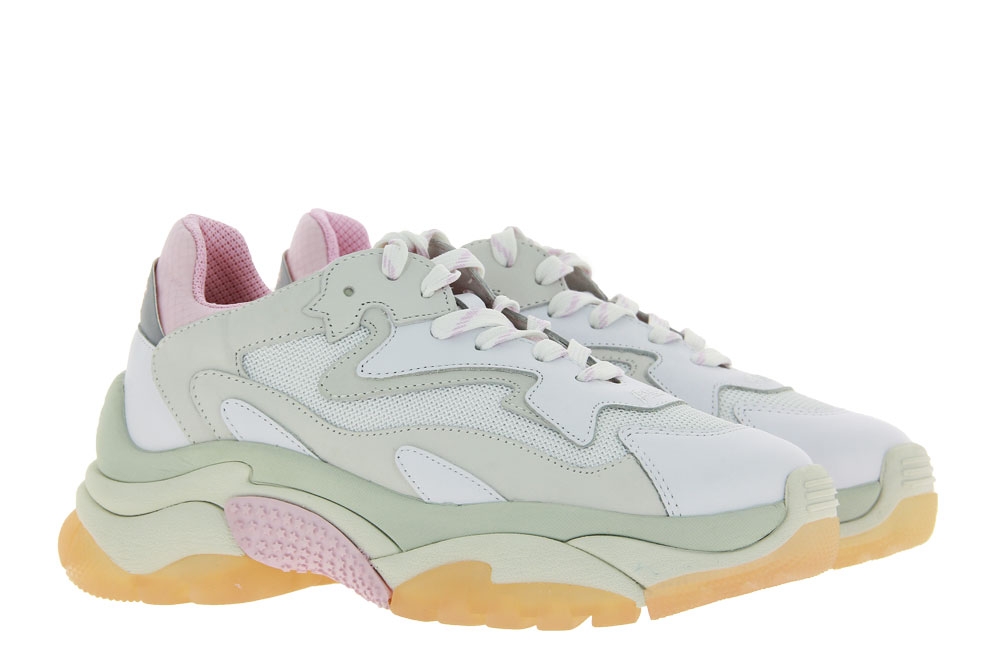 ASH Sneaker ADDICT NAPPA NUBUCK MESH DRAGON CHECKER (38)