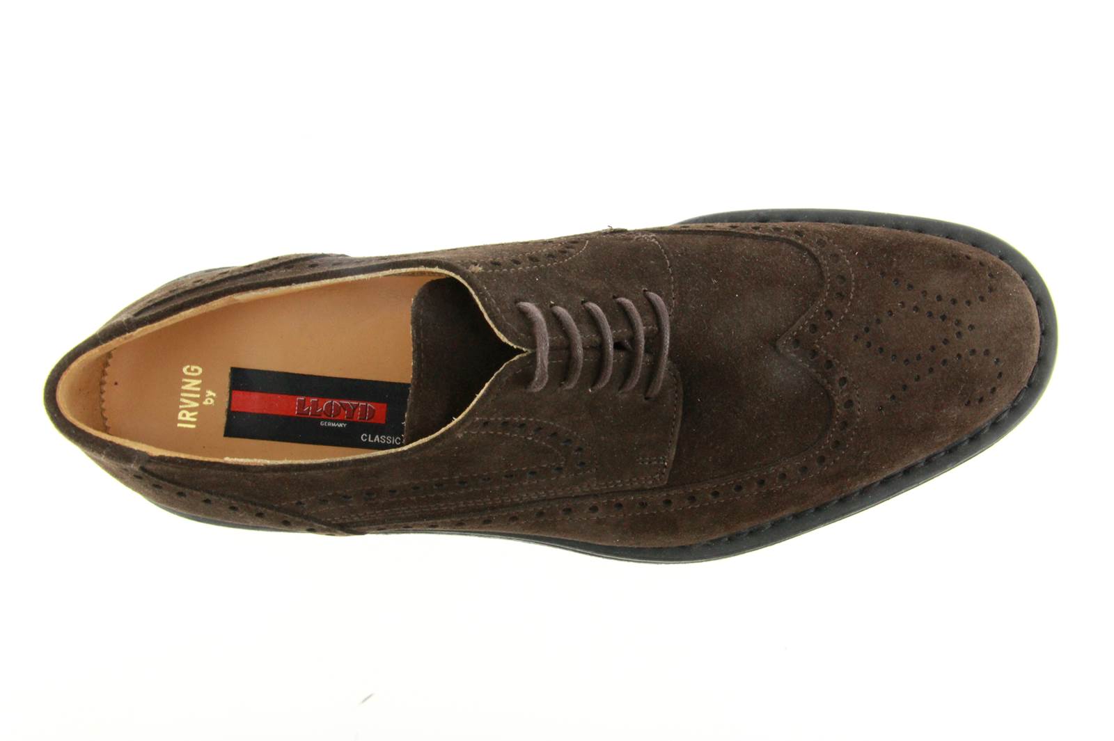 Lloyd Schnürer IRVING VELOUR BROWN (42½) Lloyd Schnürer IRVING VELOUR BROWN (42½)