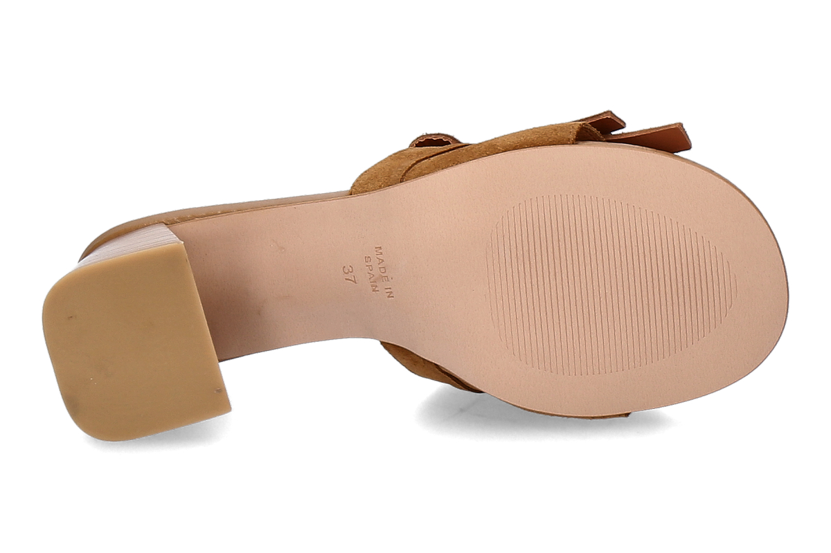 Angel alarcon camel_281300116_4