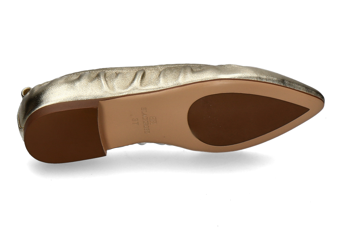 Black Rose metallic soft platino_242200142_4