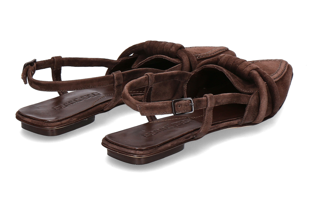 Pomme D or camEspr_294300007_2