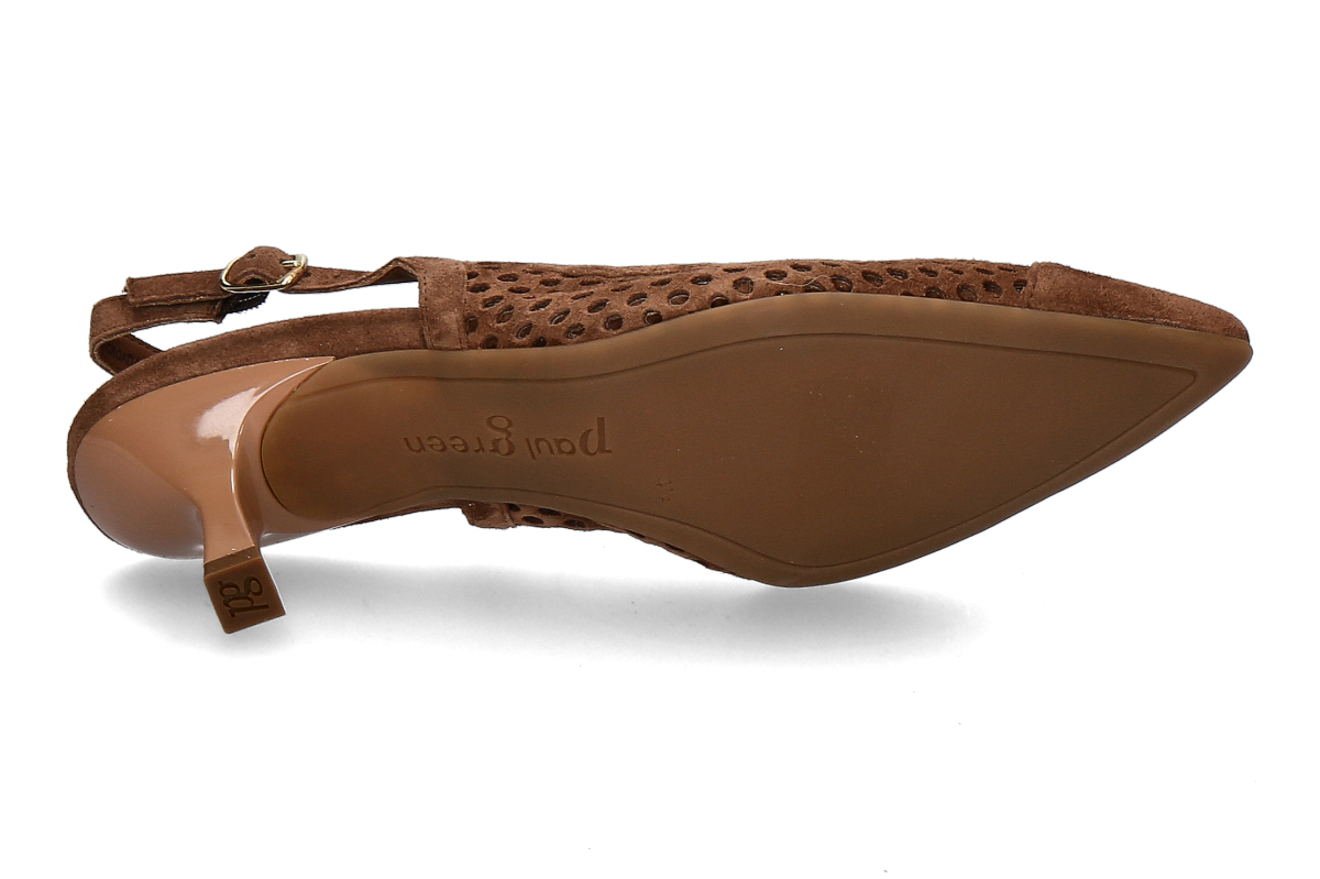 paul green samtziege nut_294300006_3